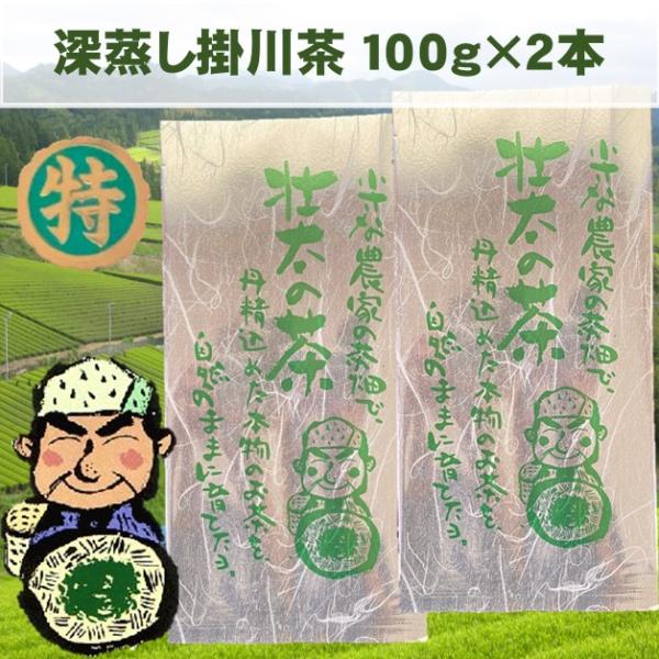 桑原園 お茶 新茶 2025 100g×2本 深蒸し掛川茶 : 桑原園の壮太の茶