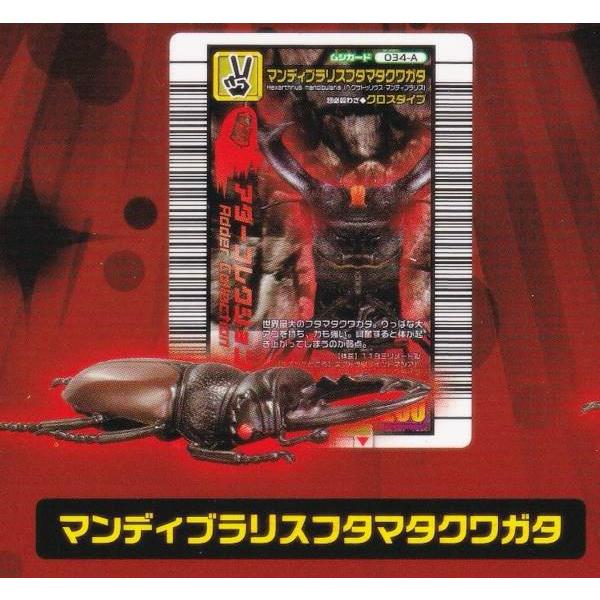 マンディブラリスフタマタクワガタ】 甲虫王者ムシキング ムシ