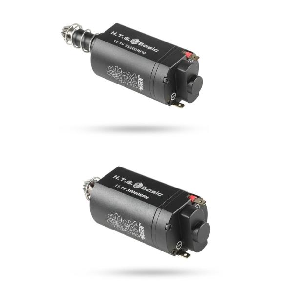 mokei-paddock_607109