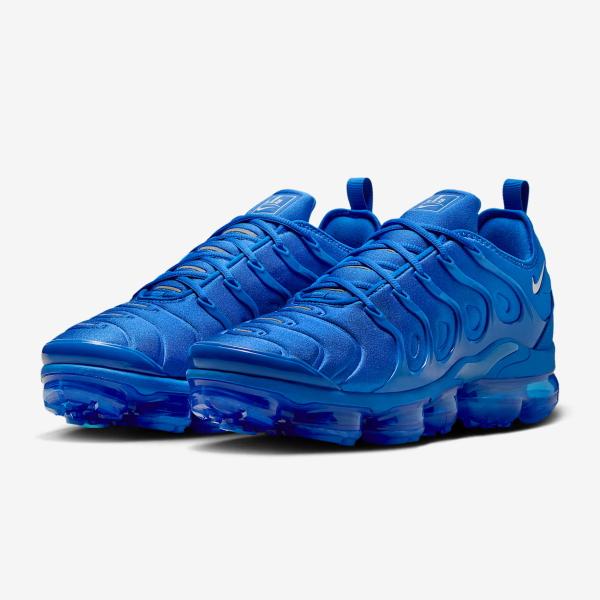 エア ヴェイパーマックス NIKE Air VaporMax Plus Game Royal/Metallic