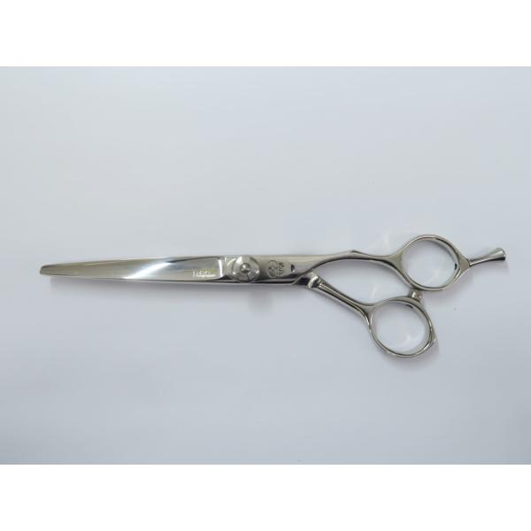 used-scissors_rc-itjbl6zh9cnt-lien