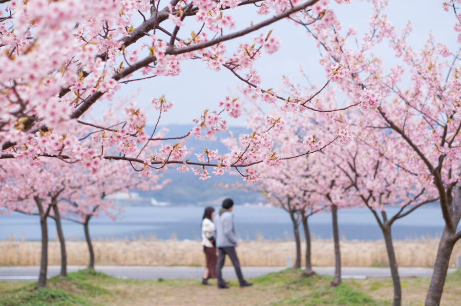 DSC09477_edited-scaled-1-