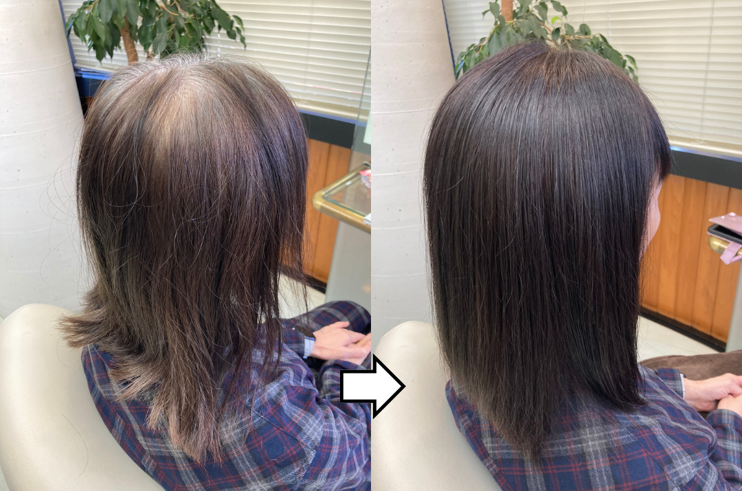 輝髪ザクロペインター】しみない・かぶれない・傷まない白髪染め | J