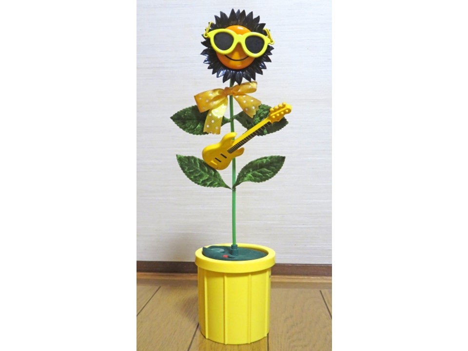 大人には懐かしくZ世代は知らないモノ 3位「フラワーロック」 2位「MD