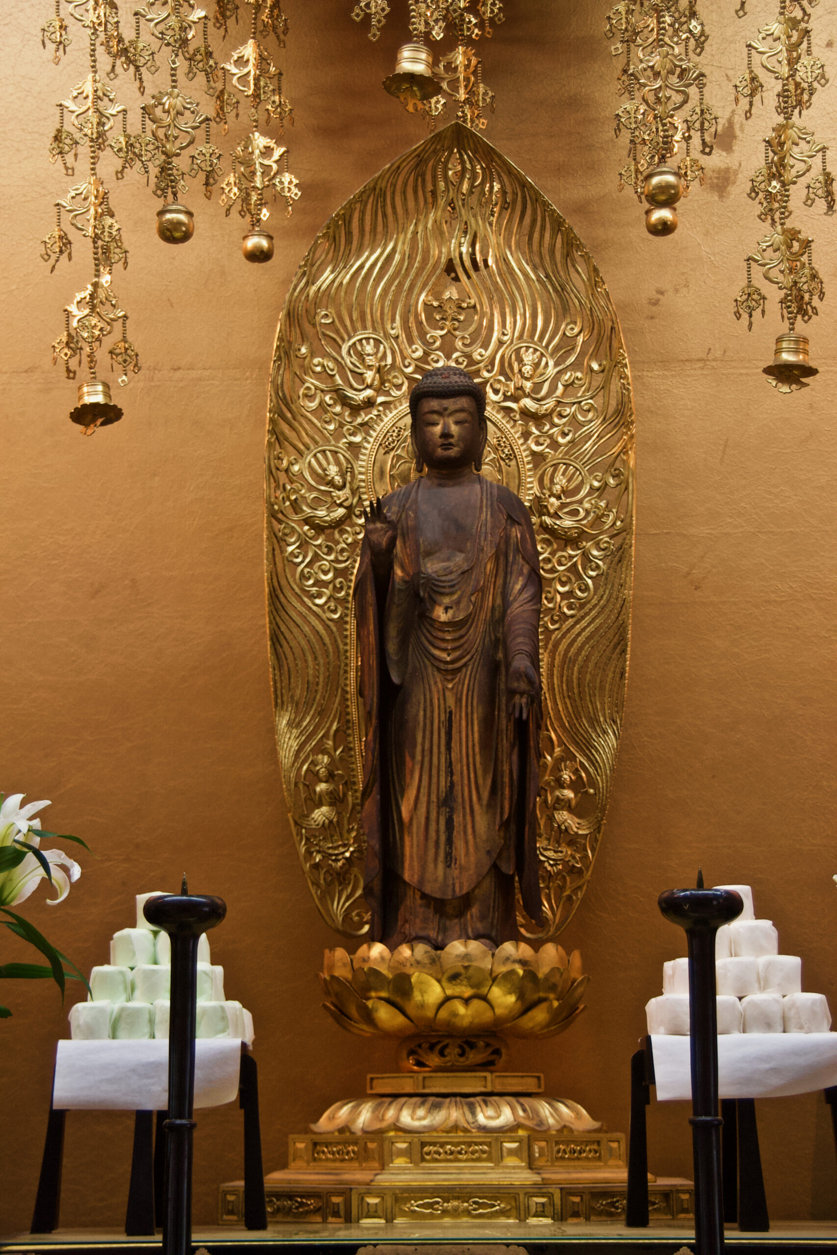 特別拝観「どうする家康関連展」 家康ゆかりの肖像画や位牌40点展示