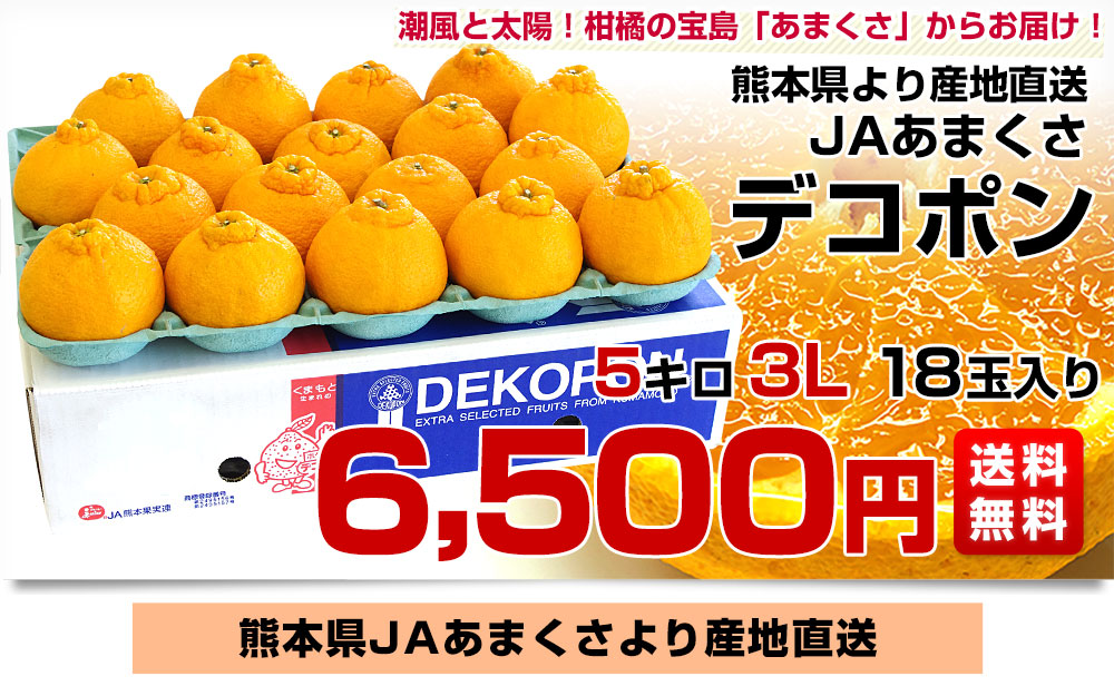 熊本県から産地直送 JAあまくさ デコポン 3L 5キロ (18玉) でこぽん