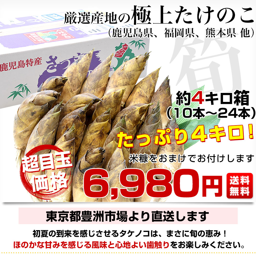 厳選産地の極上たけのこ 約4キロ（12本から24本）鹿児島県 熊本県 福岡