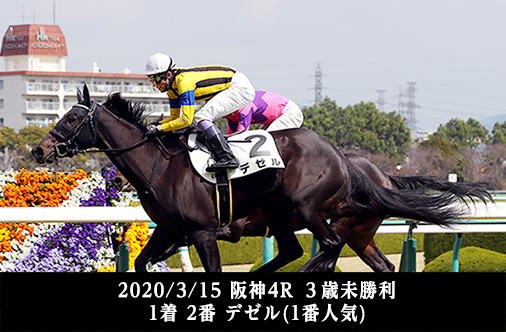 第1500回 3歳未勝利戦でデビューする馬の狙いどころは？｜データde出