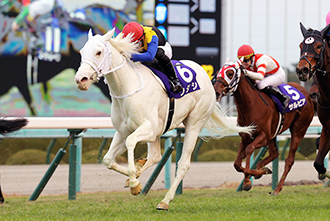 2020年 農林水産省賞典 阪神ジュベナイルフィリーズ JRA