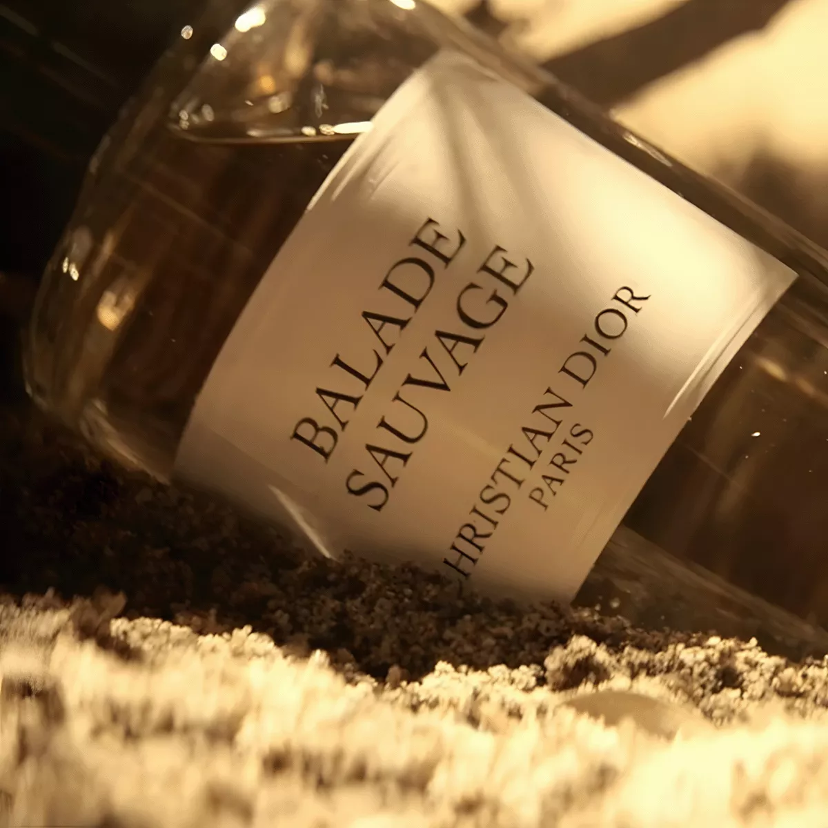 Balade Sauvage Perfume by Dior Eau de Parfum For Men and Women 125 ml