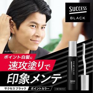 ポイントカラー｜白髪染め｜サクセス
