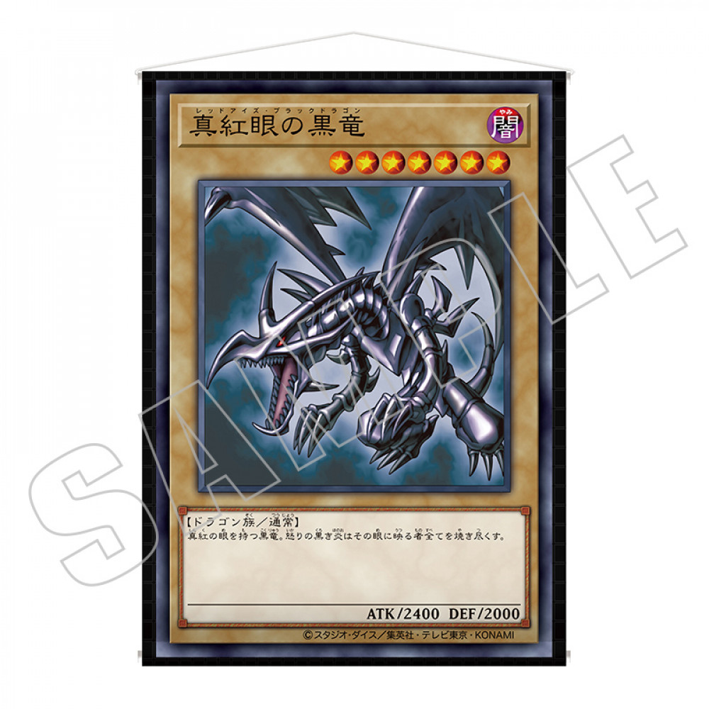CARD ILLUSTRATION タペストリー（決闘者の王国編） | KAIBA