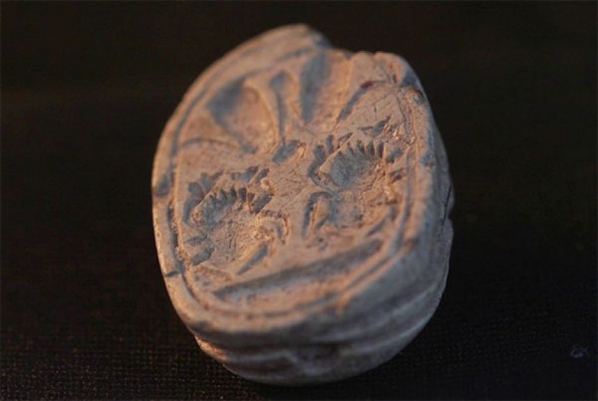 石だと思ったらお宝だった！3歳少女が3800年前のスカラベが彫られた