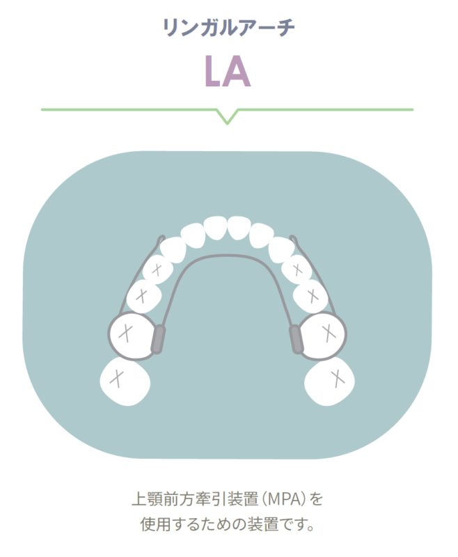 矯正治療/バンド（帯冠）の使用目的 | 旭川公園通り矯正歯科