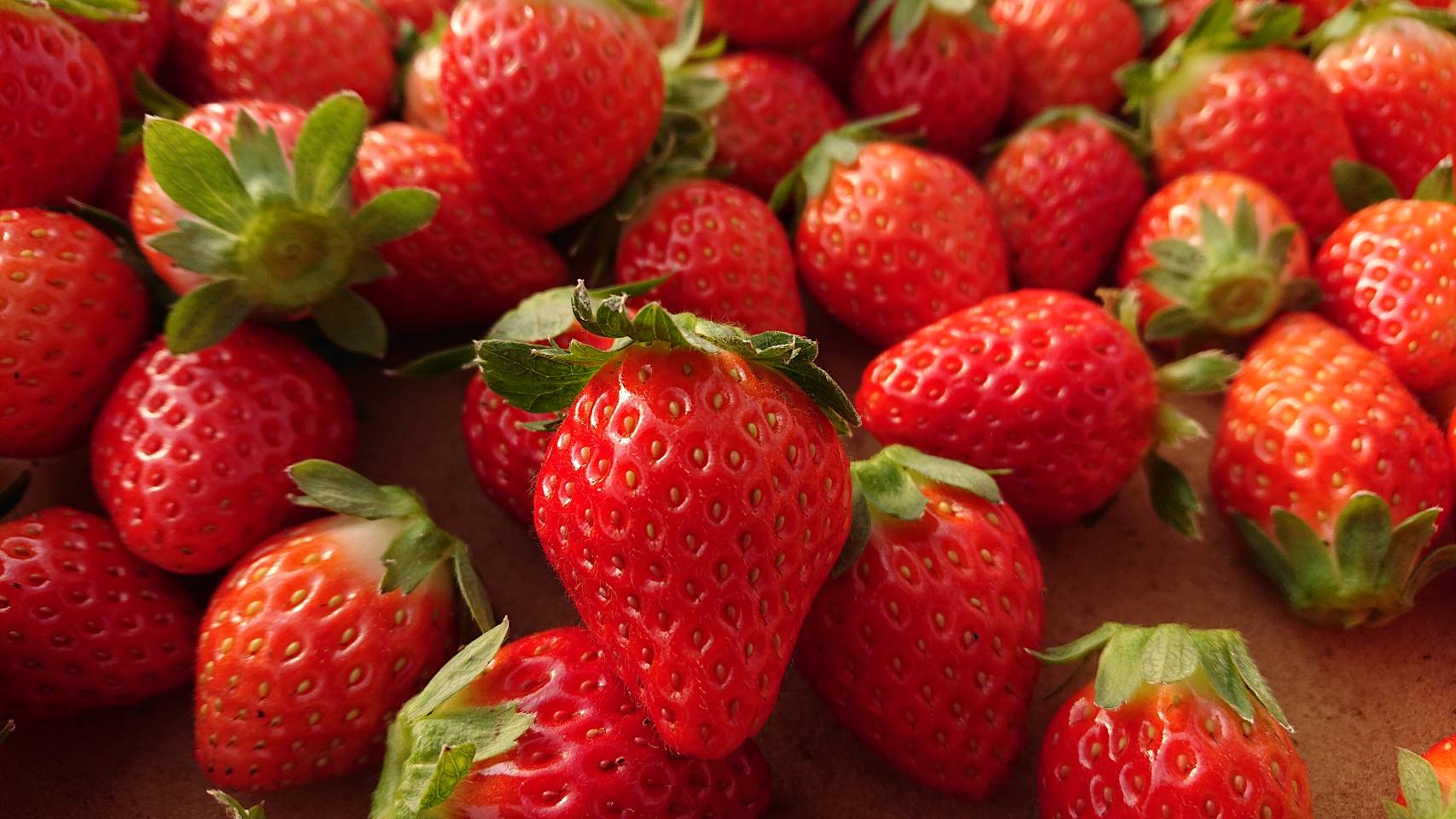 いちごセット280g×4 | 佐賀県産いちごのさがほのか｜香月さんちのいちご畑