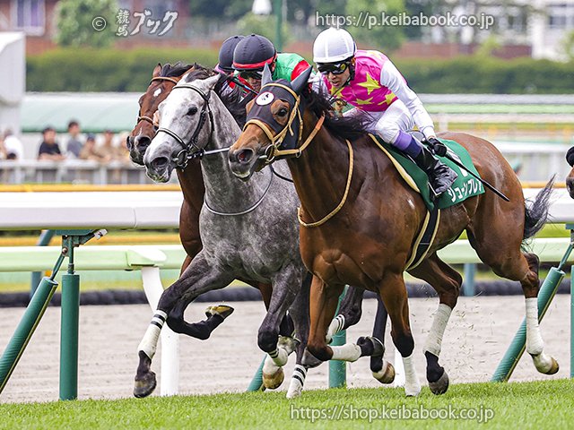 第32回 函館スプリントS 回顧 | 競馬 研究ニュース