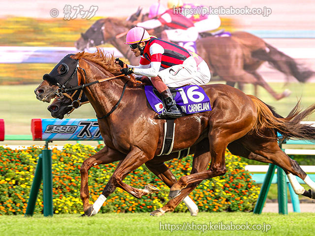 第59回 スプリンターズS 回顧 | 競馬 研究ニュース