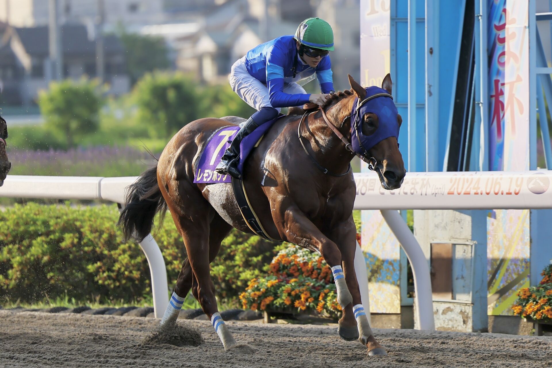 さきたま杯】断然人気レモンポップが完勝 | 競馬ニュースなら競馬の
