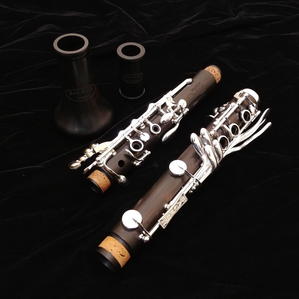 Backun Protege Professional Clarinet - 0% Interest for 60 Months!!