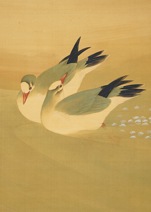 菊池芳文 映桜花水禽図 | 古美術瀬戸