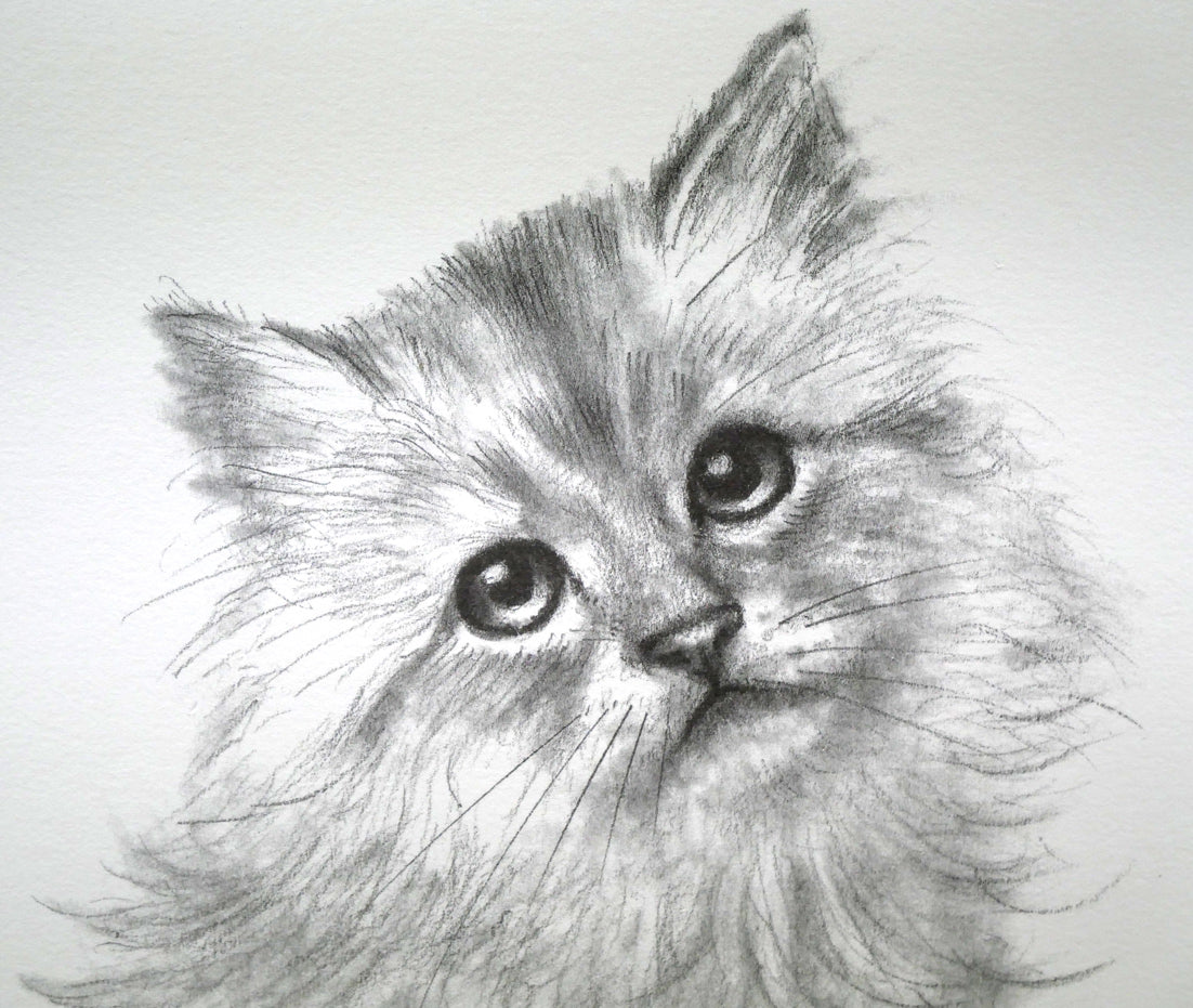 八代亜紀「チビたん」リトグラフ 絵画買取・販売の小竹美術