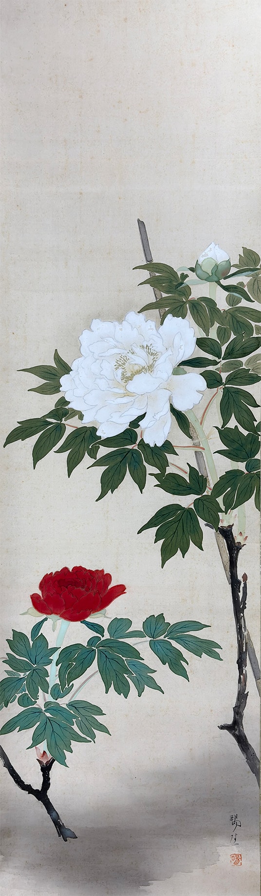 紅白牡丹図｜新・古美術 高美堂（こうびどう）｜掛軸販売・通販・買取