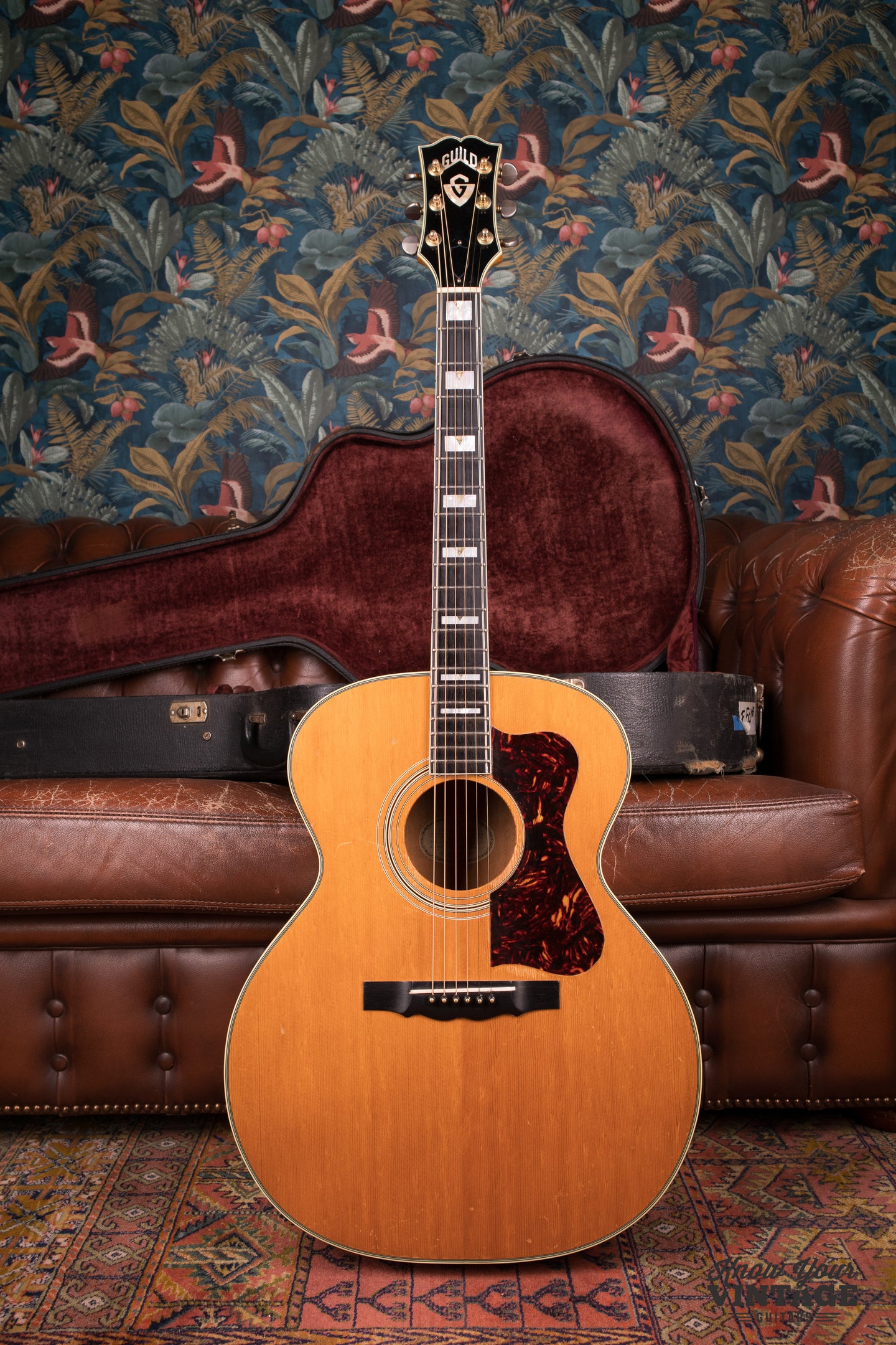 1964 Guild F50 – Know Your Vintage Guitars