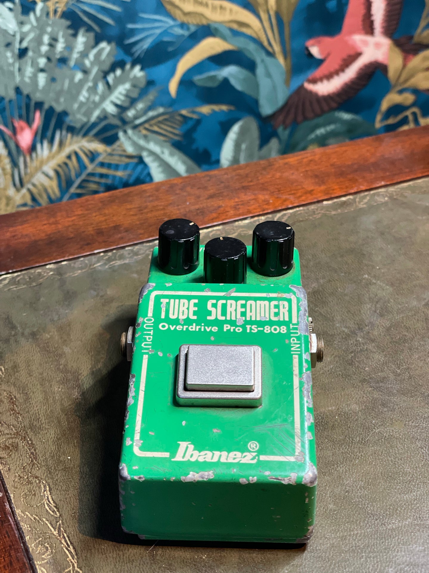 1979 Ibanez TS-808 – Know Your Vintage Guitars