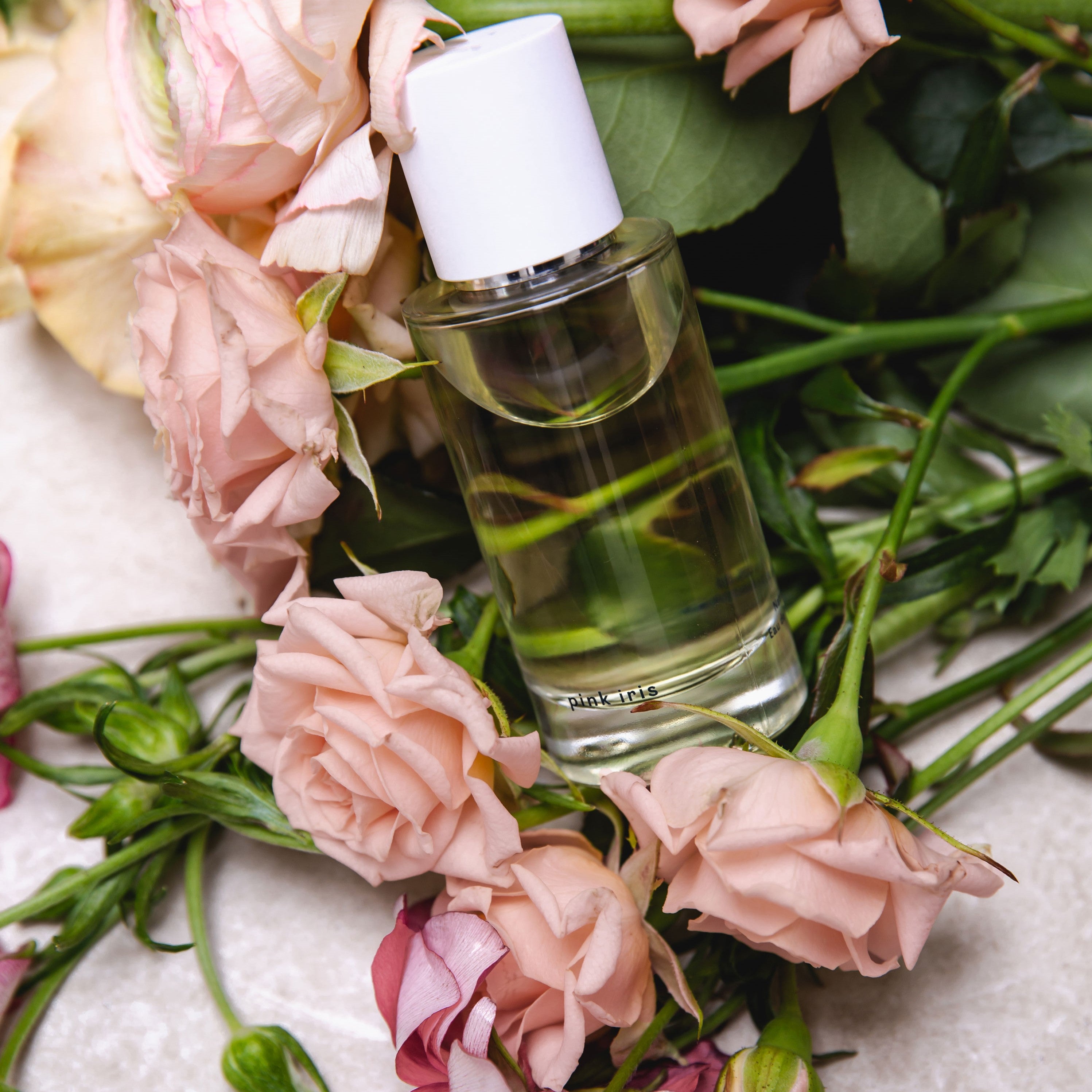 Pink Iris by Abel | Krystal Fragrance