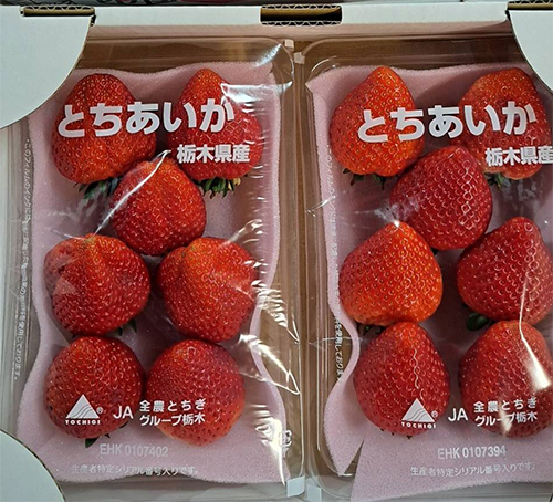 Tochiaika Strawberry | Deluxe (Premium) | Tochigi Prefecture