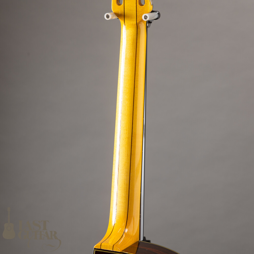 Stringphonic Advanced FV Limited | LAST GUITAR OFFICIAL WEBSITE