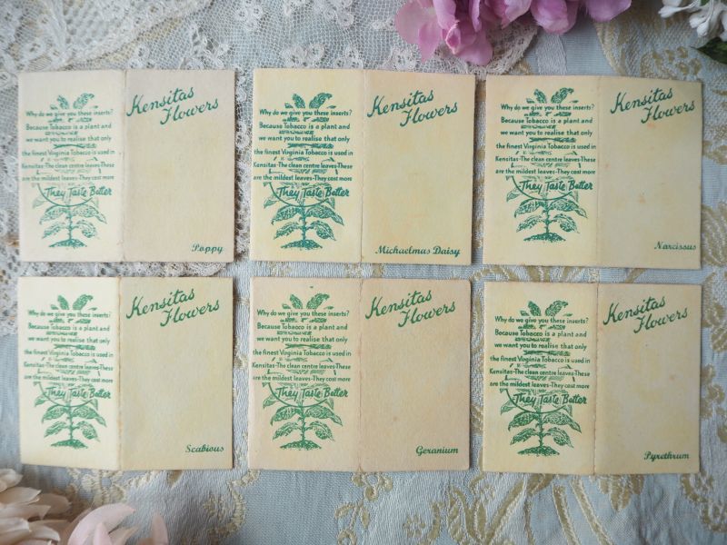 台紙付きシガレットカード/シルク刺繍(S) carte・カード