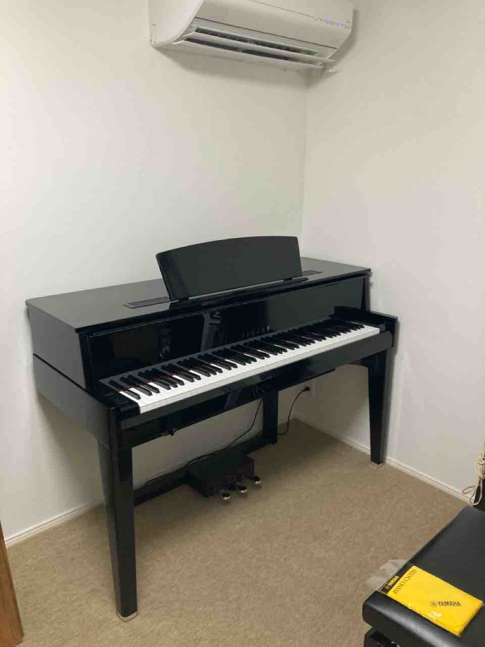 アバングランドN1の中古を手に入れました : 湘南茅ヶ崎のフルート教室+