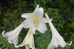 1658904460_6b1fbe26736eb7e7f70