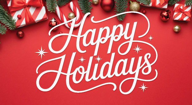 Happy Holidays from LSI: Reflecting on a Year of Impact and