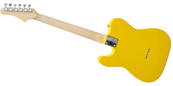 Amazon | PLAYTECH (プレイテック) エレキギター テレキャスタイプ