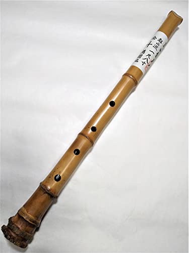 尺八 楽器」の人気商品一覧 | 安い商品を通販サイトから探す - 価格.com
