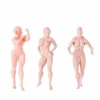 Amazon.co.jp: ZEDACAKAI (3個) 1/43 フィギュアフィットネス女性