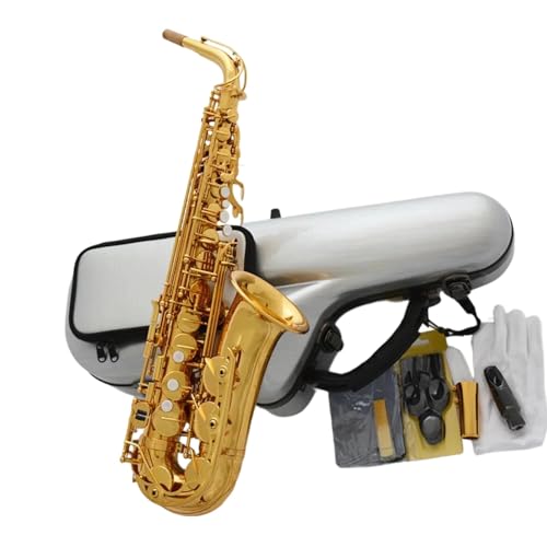 アルト サックスケース ハードケース」の人気商品一覧 | 安い商品を