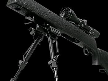 Amazon | エスツーエス ボルト・アクション・エア・ライフル TSR-ZERO