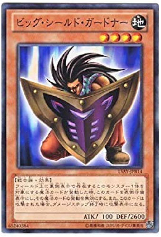 Amazon.co.jp: 遊戯王OCG Big Shield Gardna ビッグ・シールド