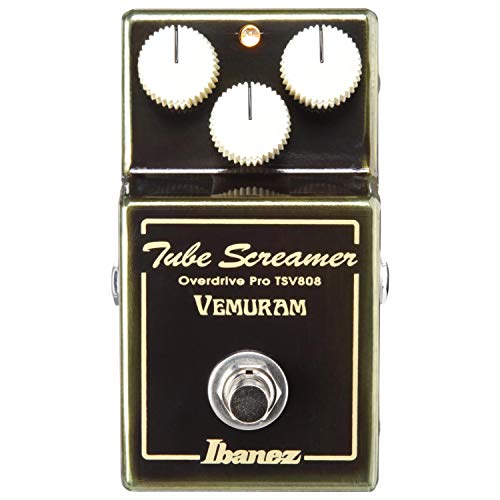 レビュー】Ibanez TSV808 - あさぎベーススタジオ
