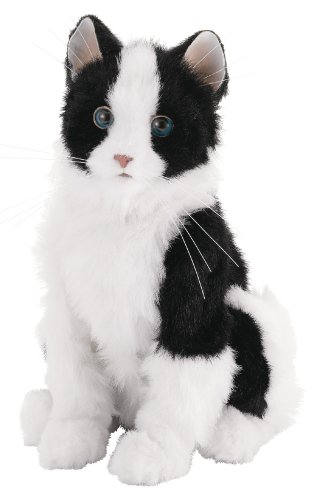 Amazon.co.jp: 夢ねこスマイル ブチ黒 : おもちゃ