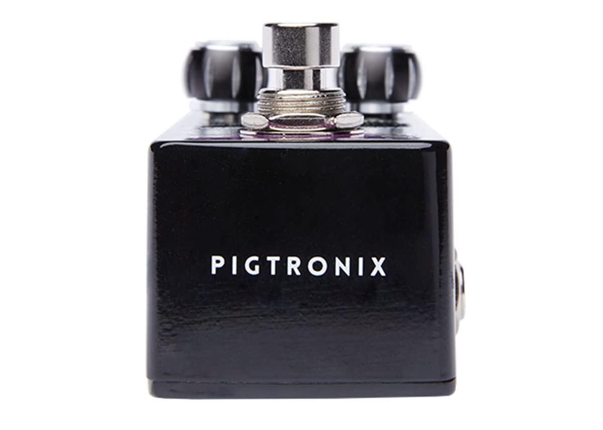 Amazon.com: Pigtronix Constellator Analog Delay : Musical Instruments