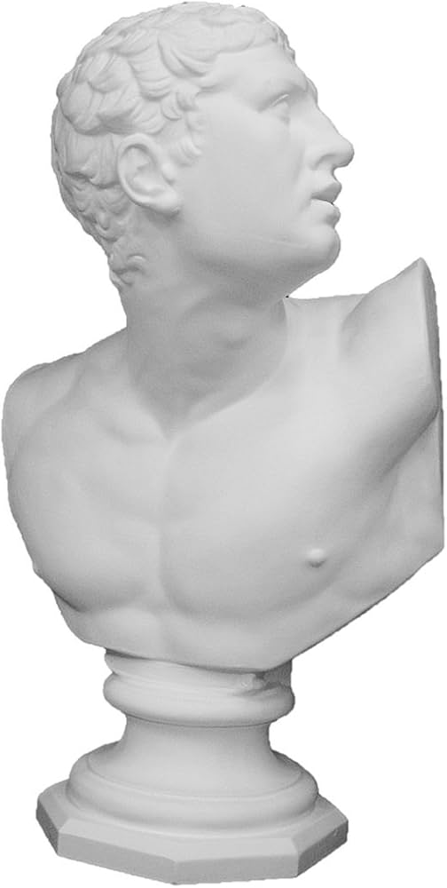 Amazon.co.jp: 石膏像 K－137 ボルゲーゼの闘士胸像 H．74cm