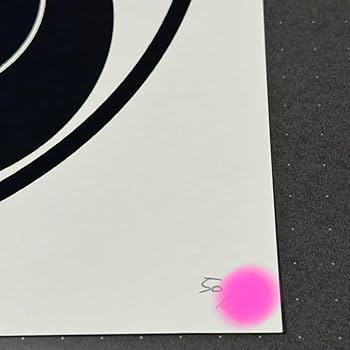 Amazon.co.jp: 藤井フミヤ FUMIYART作品 直筆サイン＆リミテッド入り