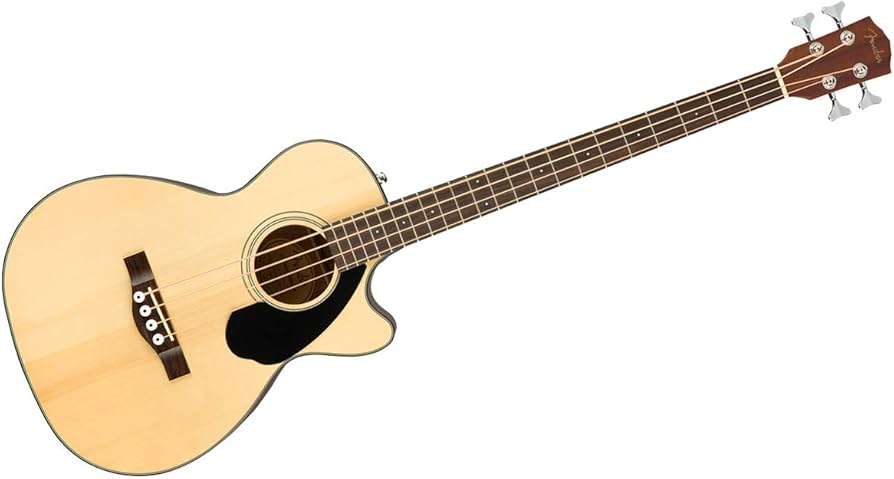 Amazon.co.jp: FENDER (フェンダー) エレクトリック・アコースティック