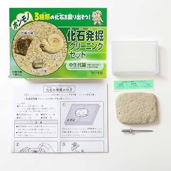 Amazon | TOKYO SCIENCE 実験・体験シリーズ 「renew 化石発掘