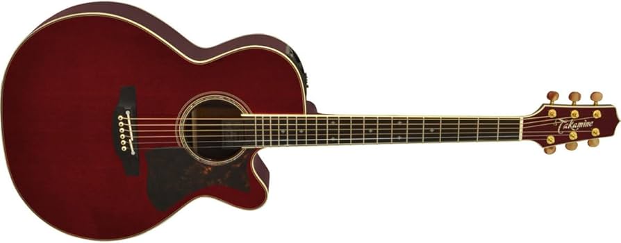 Amazon | Takamine DMP50S WR ギター担当厳選 アコギ初心者セット