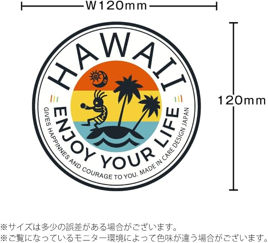 Amazon.co.jp: SDGs 海 HAWAII ハワイ 好き ステッカー ENJOY YOUR